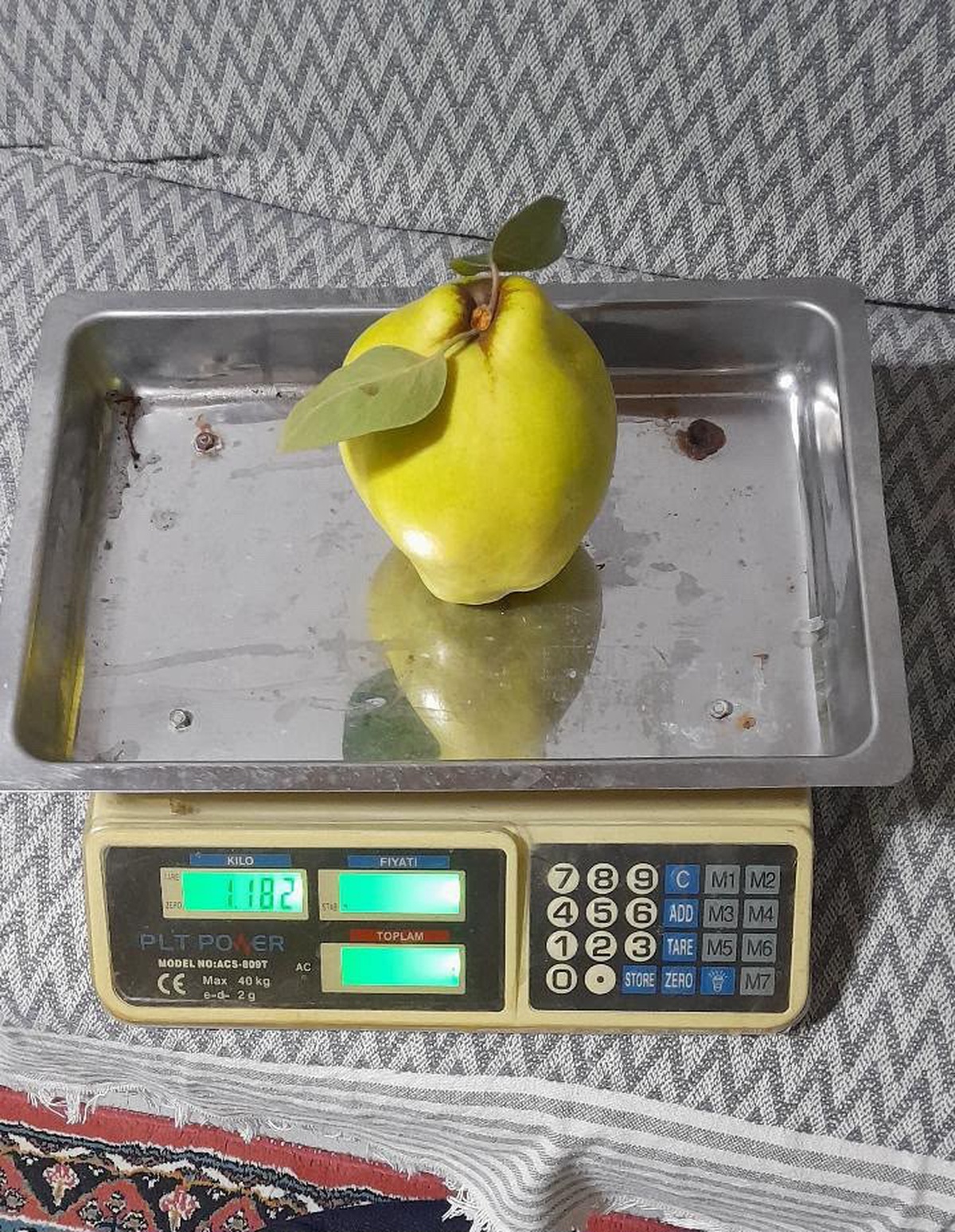 Sakarya Geyve'de tek ayva 962 gram geldi, iki ayva 1 kilo 876 gram oldu