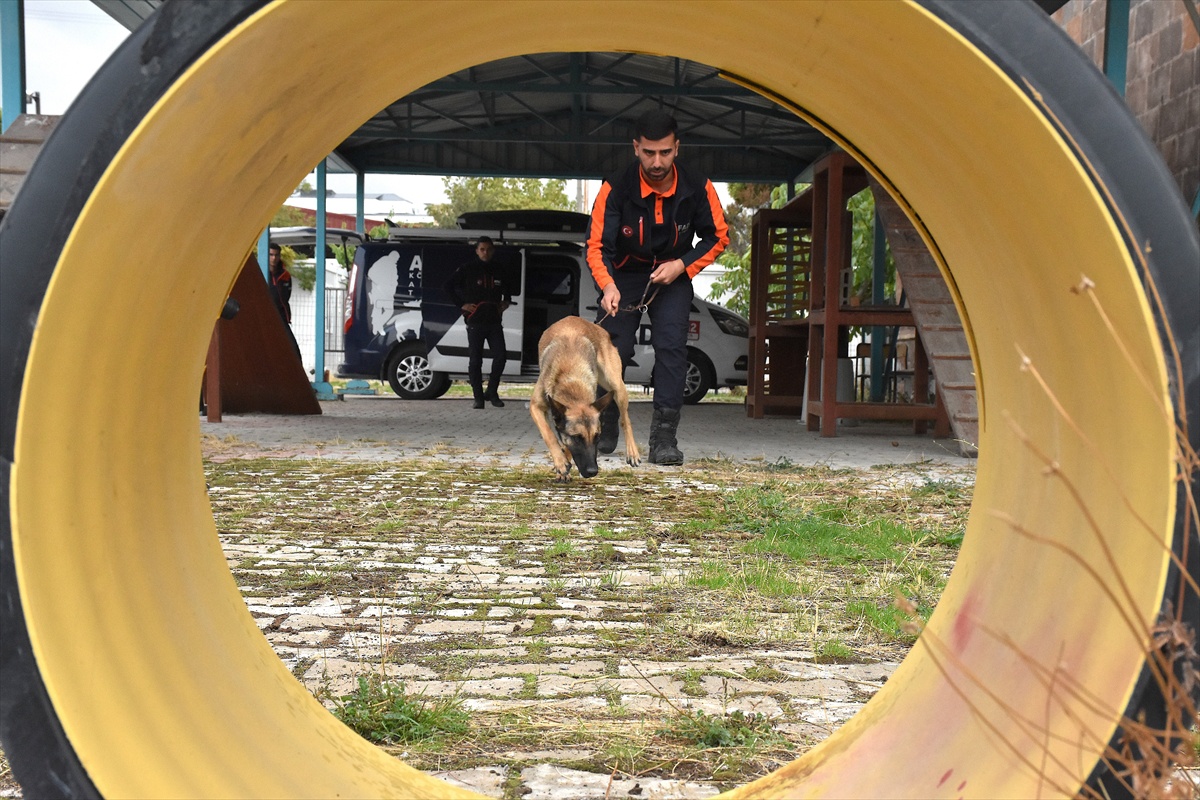 Van AFAD'da Börte ve Lucy 2027'de canlı arama sınavına hazırlanıyor