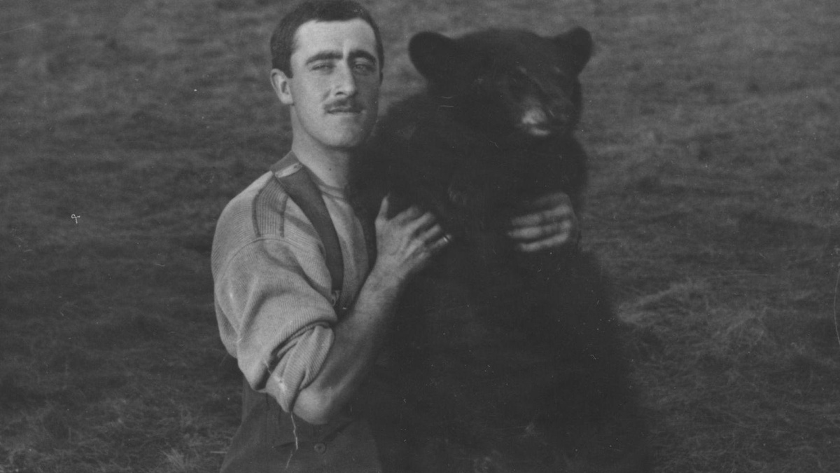 Winnie-the-Pooh'un ilham kaynağı gerçek ayı, ilk kitabın 100. yılında anılıyor