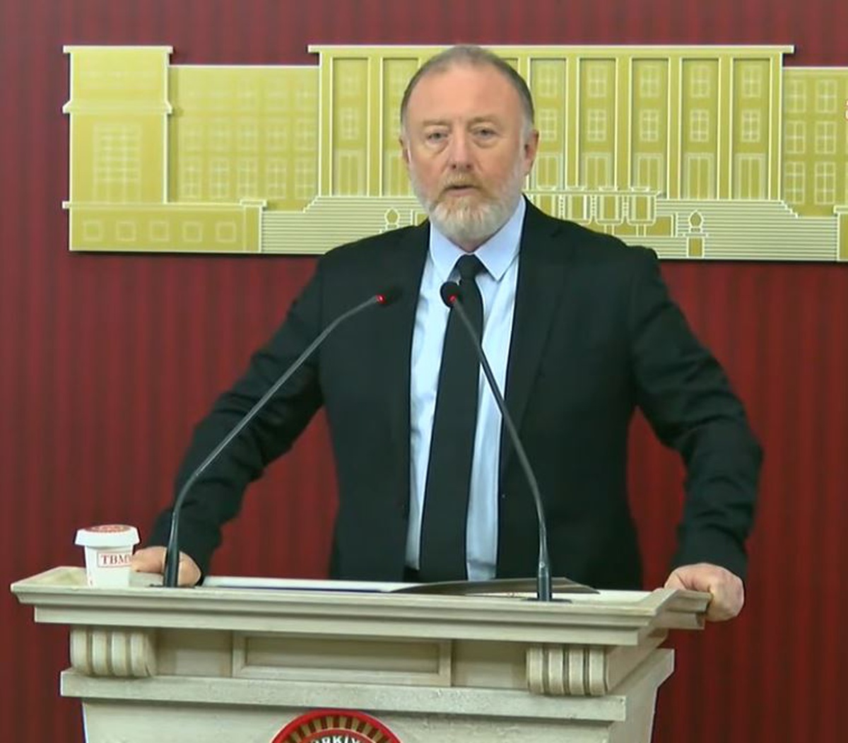 DEM'li Temelli TBMM'de eşit yurttaşlık temelinde demokratik hukuk devleti istedi