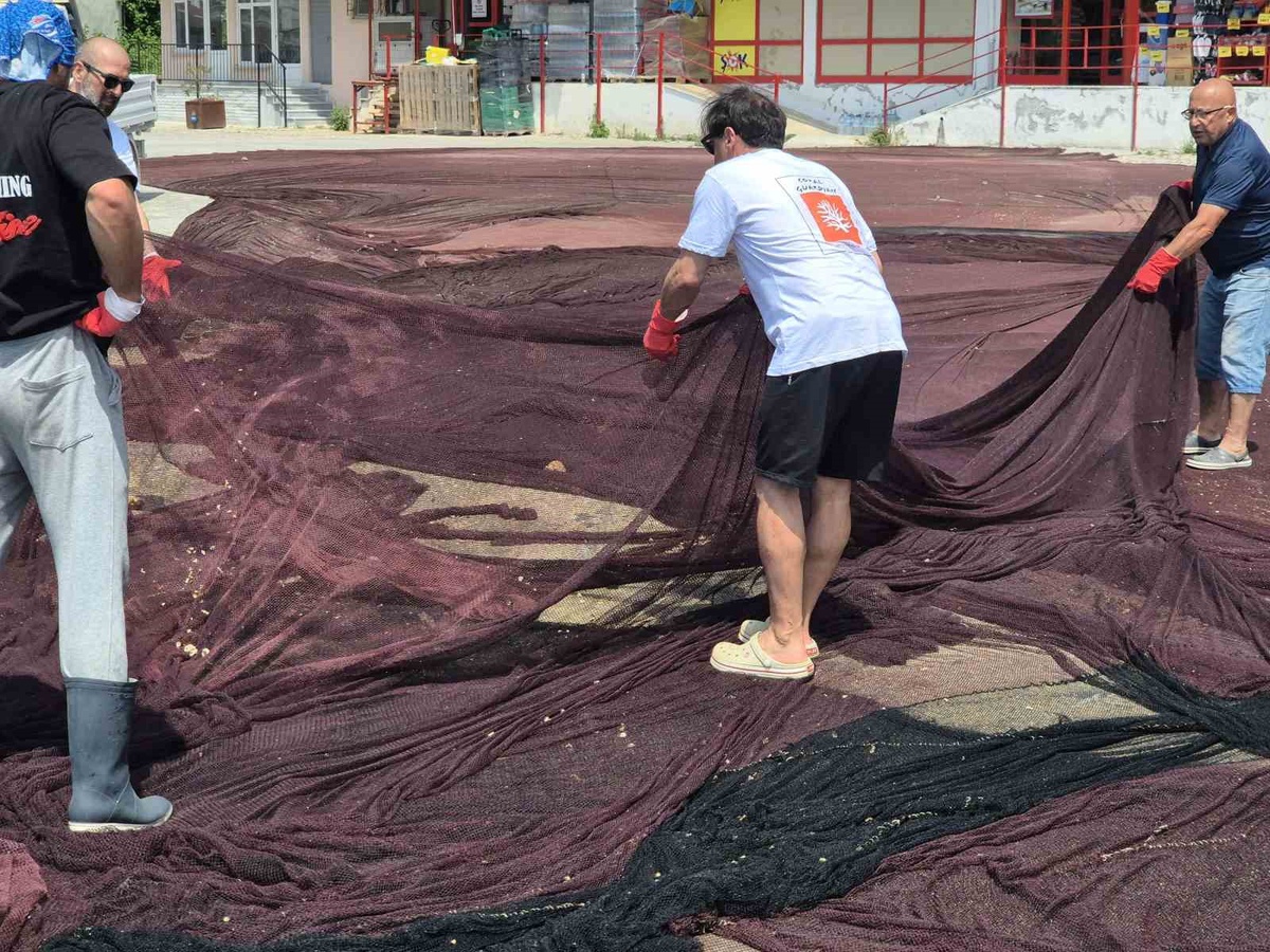 Deniz Yaşamını Koruma Derneği Adalar'da 800 kilogram hayalet ağ çıkardı