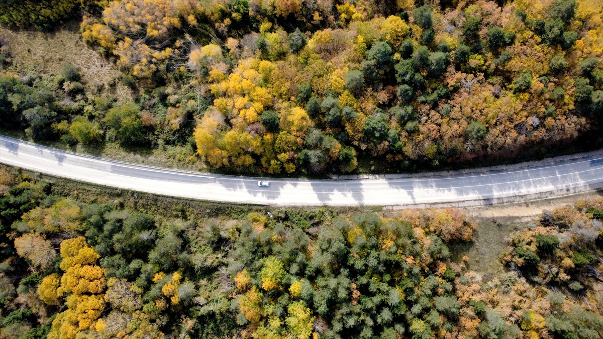 Karabük'te sonbaharda ormanlar sarı ve kızıl tonlarla yolculara manzaralar sunuyor