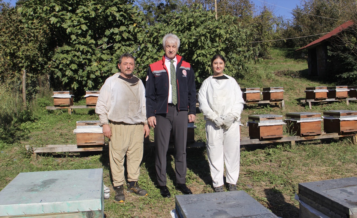 Erfelek'te genç kadına arıcılık hibesi