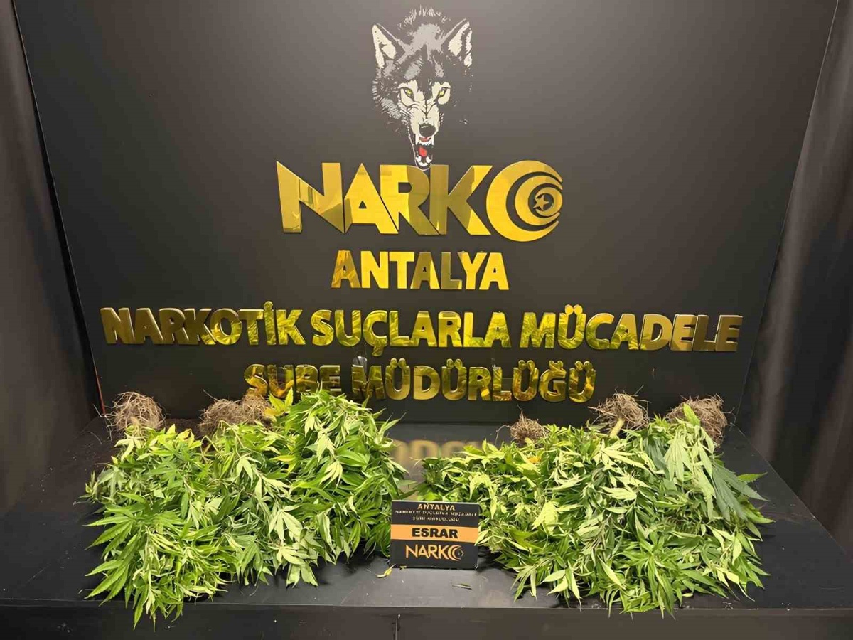 Antalya'da 1 haftalık narkotik operasyonlarında 28 bin 519 sentetik ecza bulundu