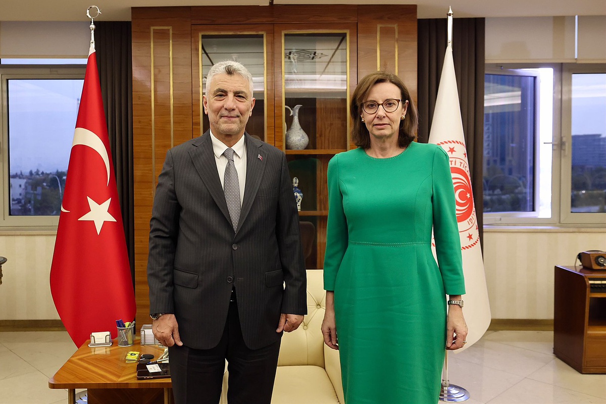 Bakan Bolat, Birleşik Krallık Büyükelçisi Anderson ile STA kapsamını görüştü