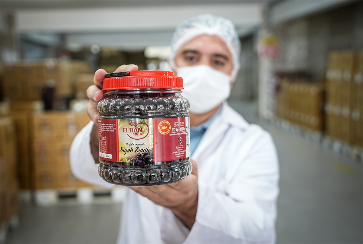 Bursa Gemlik cezaevi zeytin atölyesi hükümlülere meslek öğretip çiftçiye pazar oluyor