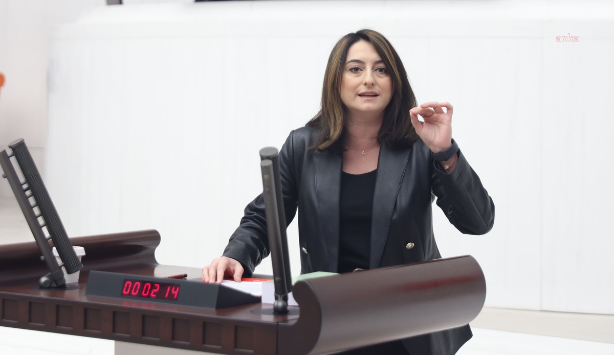 CHP'li Bankoğlu 2027 bütçesinde kadına yönelik şiddetle mücadeleye kaynak istedi