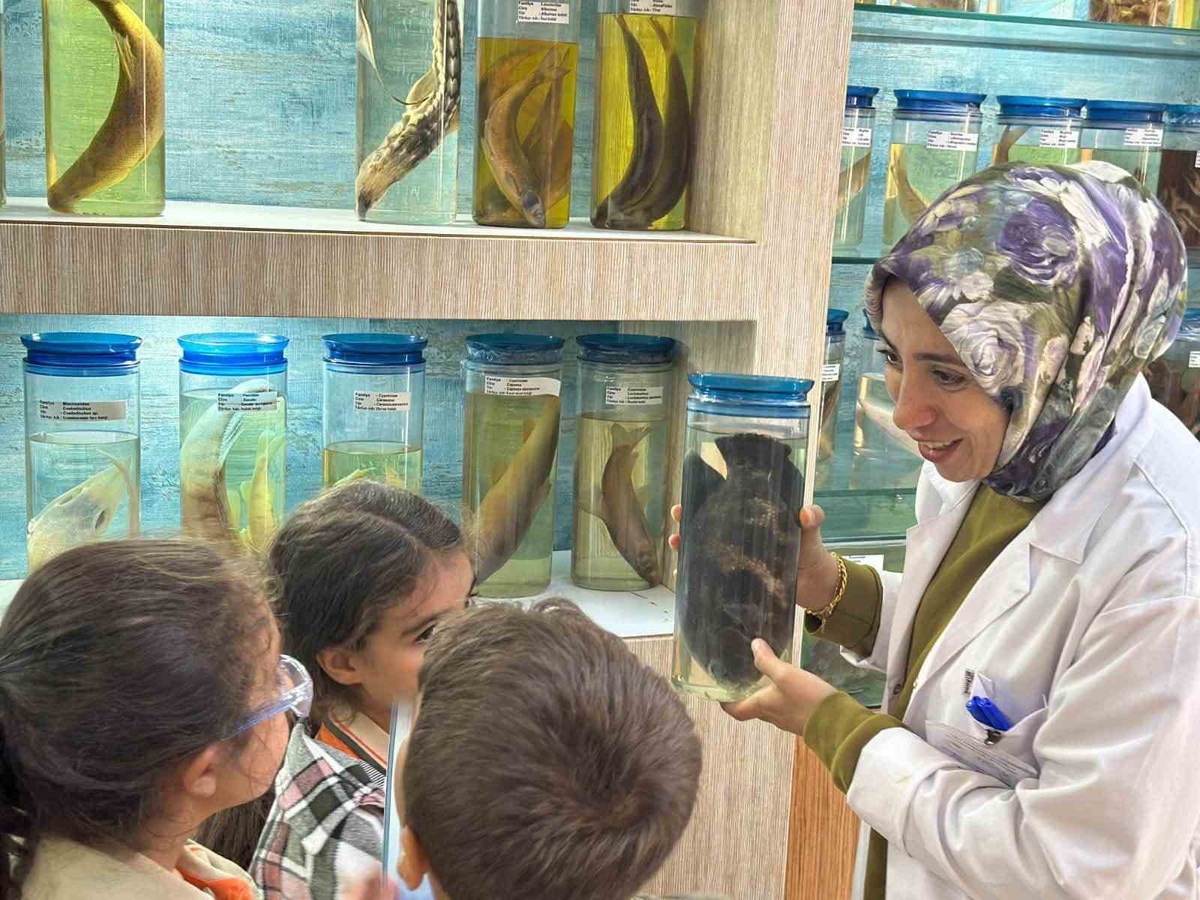 Elazığ'da ilkokul öğrencileri Balık Müzesi ve Akvaryum Ünitesini ziyaret etti
