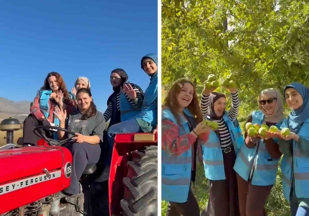 Erzincan Kız Öğrenci Yurdu öğrencileri Üzümlü'de meyve hasadına katıldı