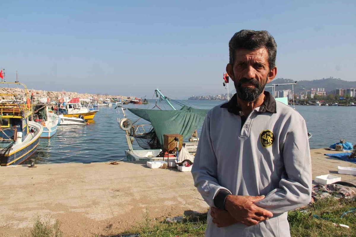 Karadeniz'de palamut bolluğu hamsi ve istavrit için risk oluşturabilir