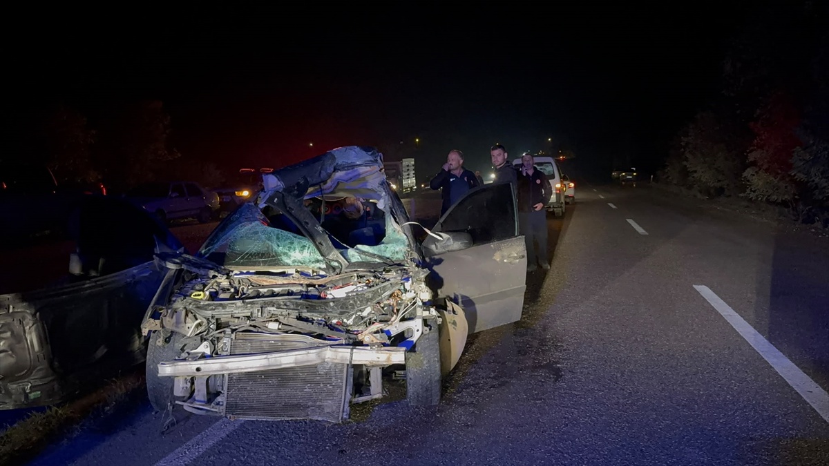 Kastamonu Taşköprü'de büyükbaşa çarpan otomobilin sürücüsü öldü, hayvan telef oldu