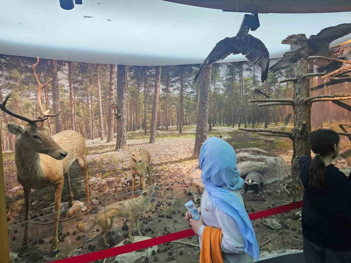 Kütahya'da 70 öğrenci Çamlıca Tabiat Parkı'nda doğayı uygulamalı etkinliklerle tanıdı