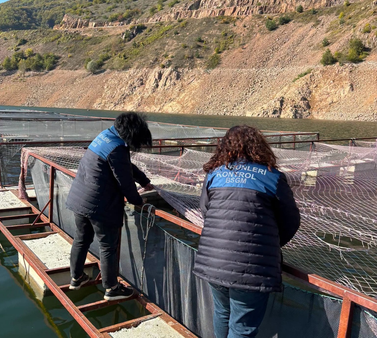 Mesudiye'de alabalık tesislerine denetim: 100-400 gramlık balıklar kasımda taşınacak