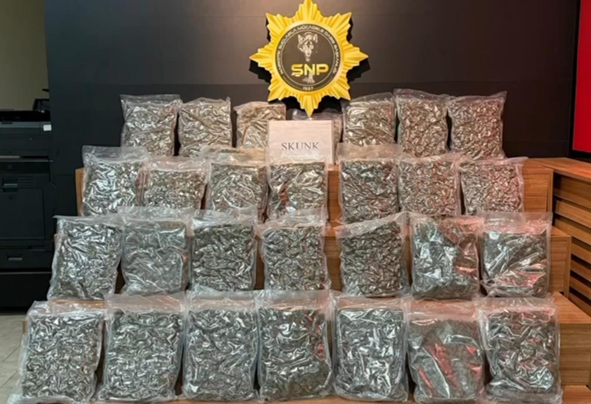 Şanlıurfa'da otobüste 16 kilo 400 gram skunk ele geçirildi, 1 şüpheli tutuklandı