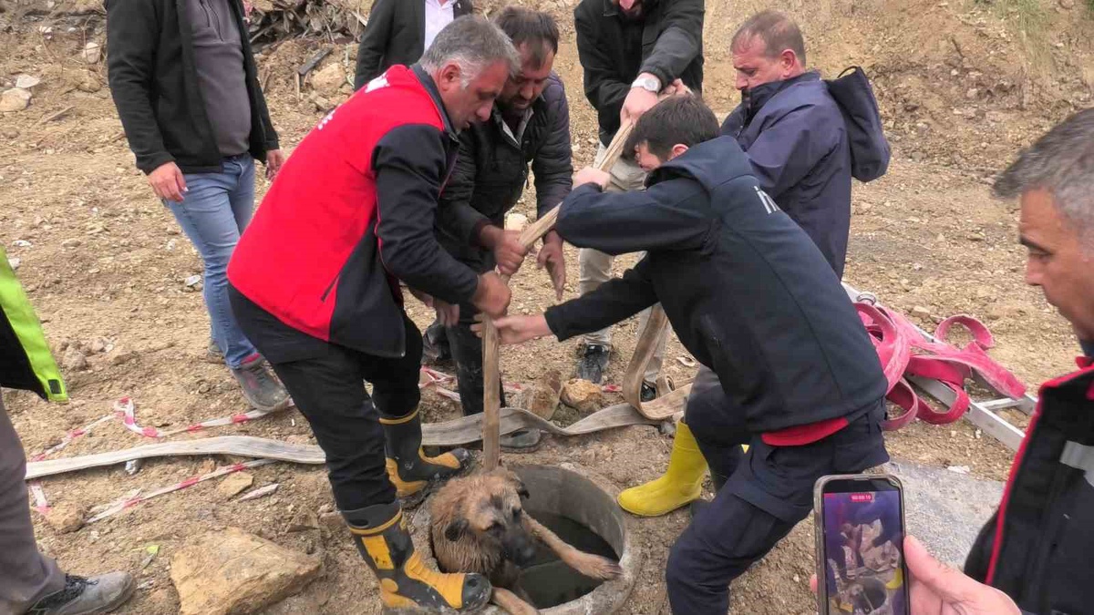 Adıyaman Besni'de çukura düşen köpek itfaiye ekiplerince yara almadan kurtarıldı