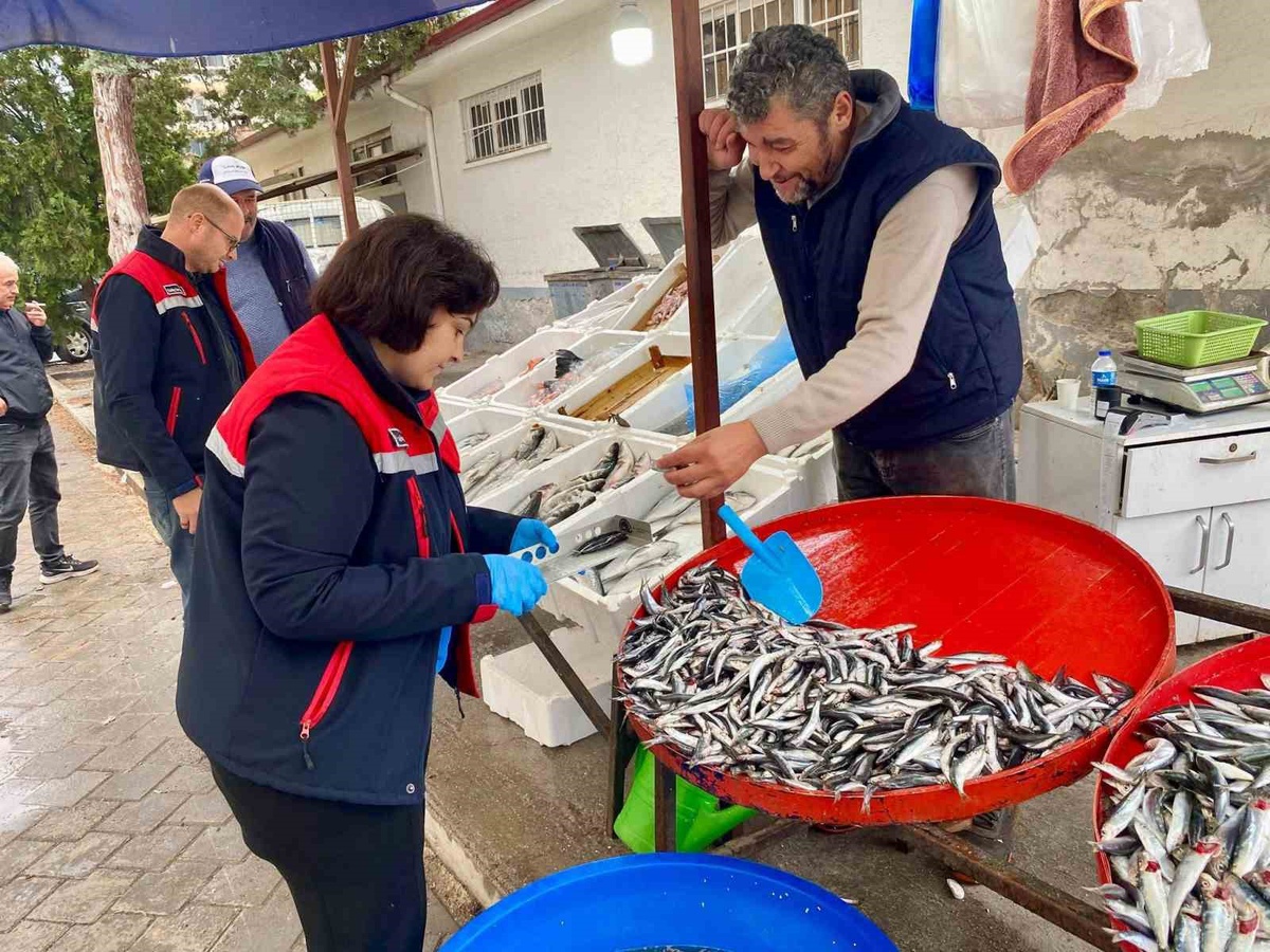 Afyonkarahisar Dazkırı'da balık satış noktaları Tarım Müdürlüğünce denetlendi