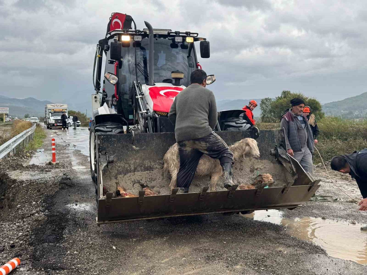 Muğla Dalaman'da Tersakan Çayı taştı! İlçe sular altında, mahsur kalanlar botlarla kurtarılıyor