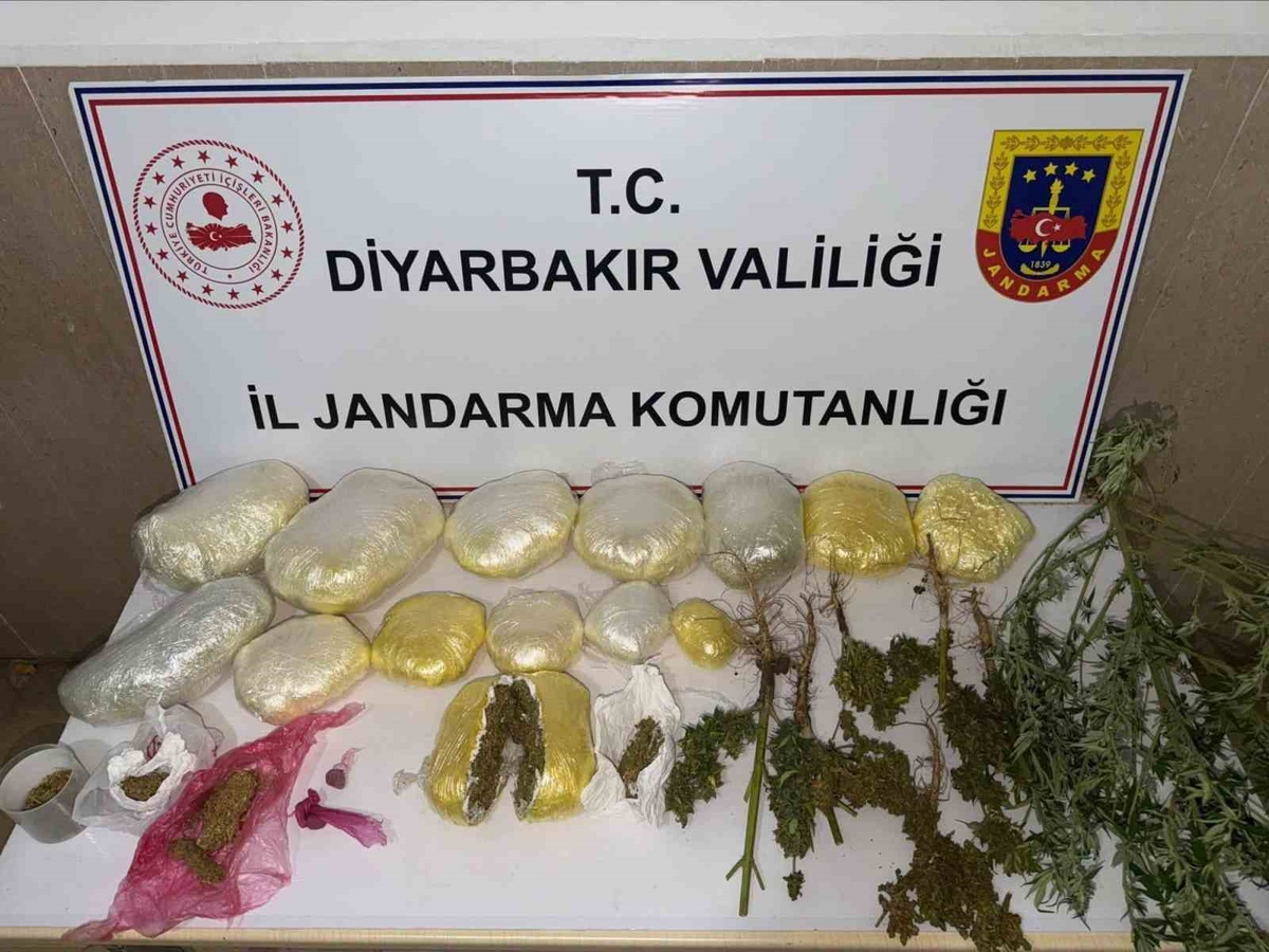 Diyarbakır'da uyuşturucu operasyonlarında 59 bin 221 kök kenevir ele geçirildi