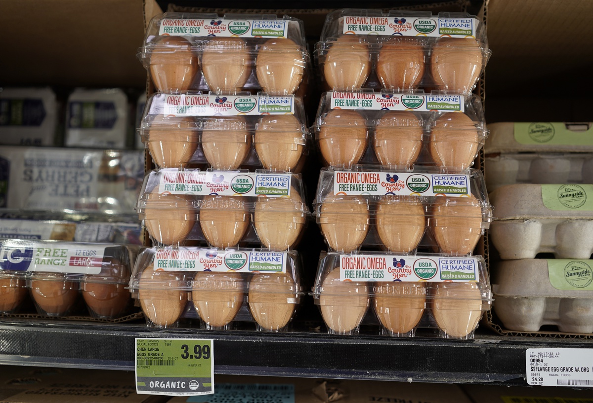 Hong Kong, H5N1 nedeniyle Danimarka ve ABD'den kümes hayvanı ithalatını askıya aldı