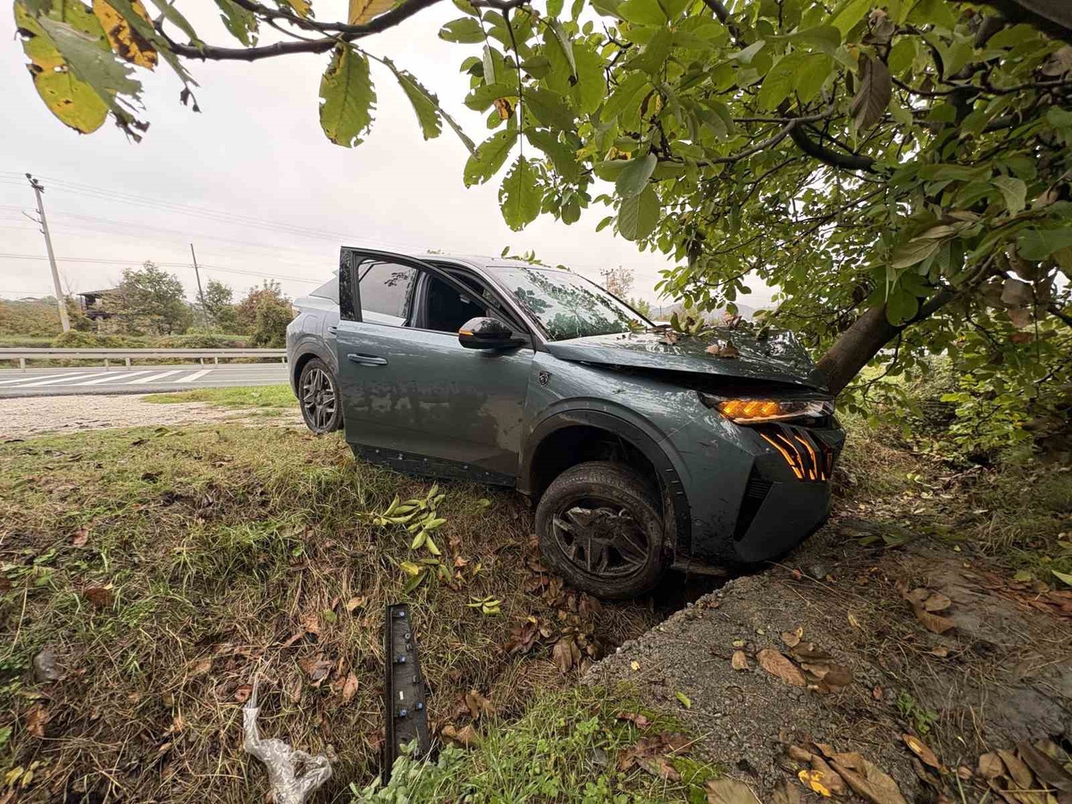 Kastamonu Tosya'da cip araca ve ağaca çarptı, 1 yaralı, kaçan sürücü yakalandı