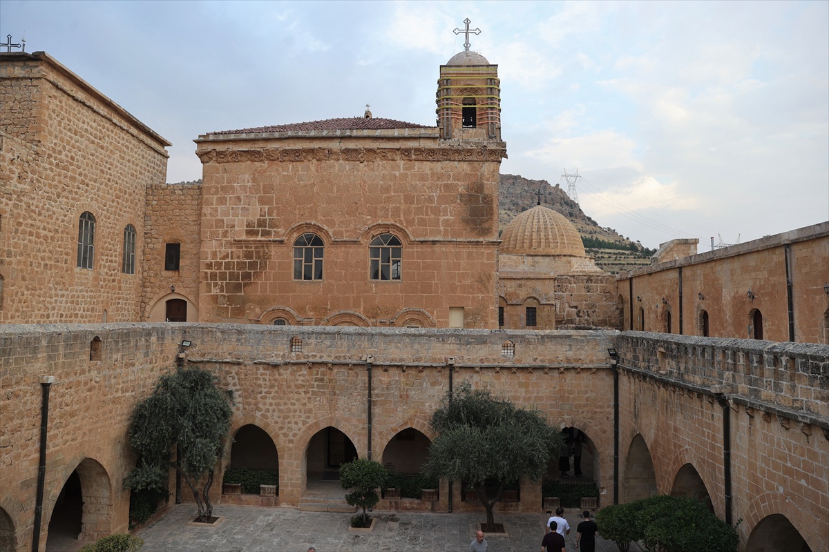 Mardin Deyrulzafaran Manastırı'nda yaklaşık 400 dönüm zeytinde verim arttı