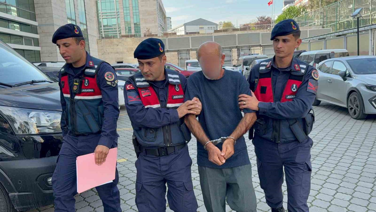 Samsun Atakum'da orman malzemesi yüklerken suçüstü yakalanan şüpheli gözaltına alındı