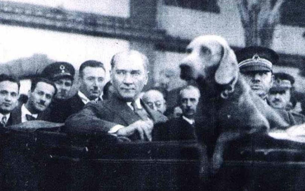 Atatürk’ün köpeğinin adı nedir?