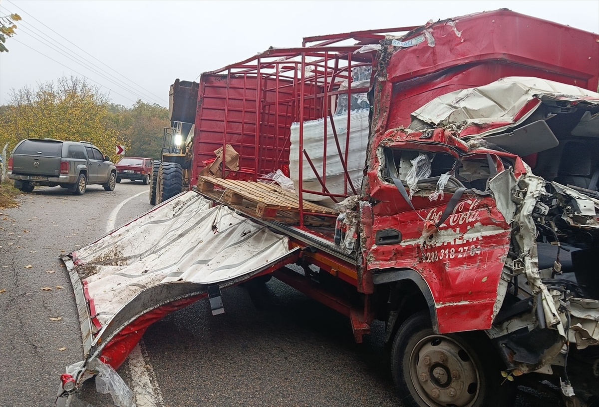 Kırklareli Demirköy'de kamyon şarampole devrildi, 1 kişi öldü, 1 kişi yaralandı
