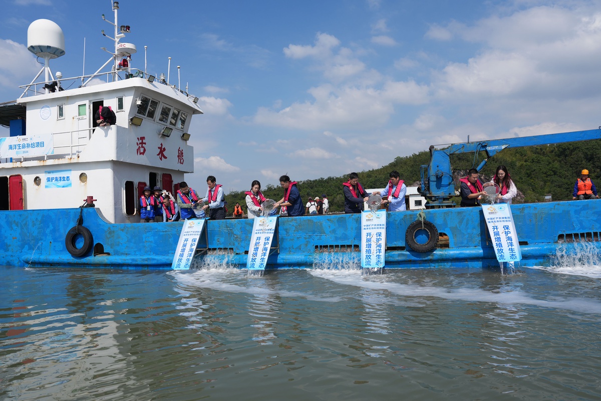 Ningbo'da 43'üncü balık popülasyonu çalışmasında 168 bin yavru balık denize bırakıldı