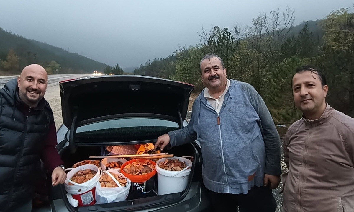 Tavşanlı'dan Orhaneli'ye gidenler yeni sezonun ilk melki mantarını topladı