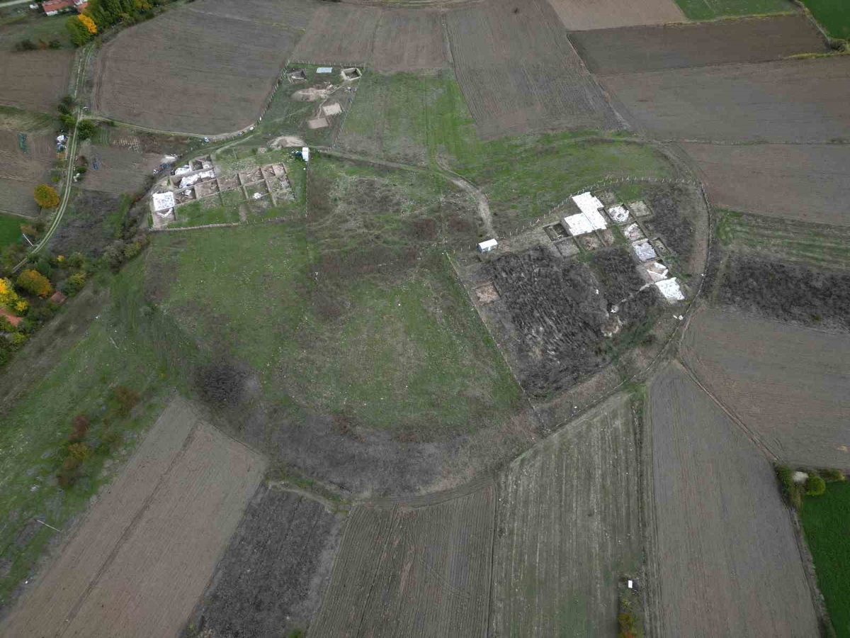 Tavşanlı Höyük'te 4 bin yıllık köpek pati izleri bulundu! Yangında yıkılan yapının kerpicinde korunmuş