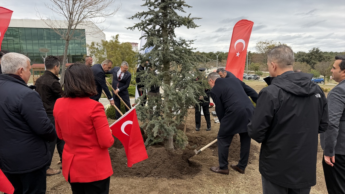Tekirdağ'da Cumhuriyet'in 103. yılı anısına fidan dikildi