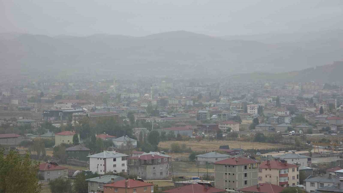 Van'da sağanak ve sis görüş mesafesini düşürdü, sürücüler zor anlar yaşadı