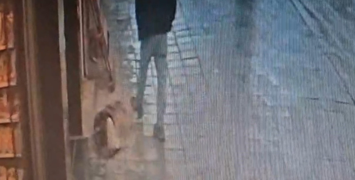 Avcılar'da uyuyan köpeğe tekme atan adam, ayağından ısırılarak yaralandı