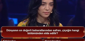 Dünyanın en değerli baharatlarından safran, çiçeğin hangi bölümünden elde edilir?