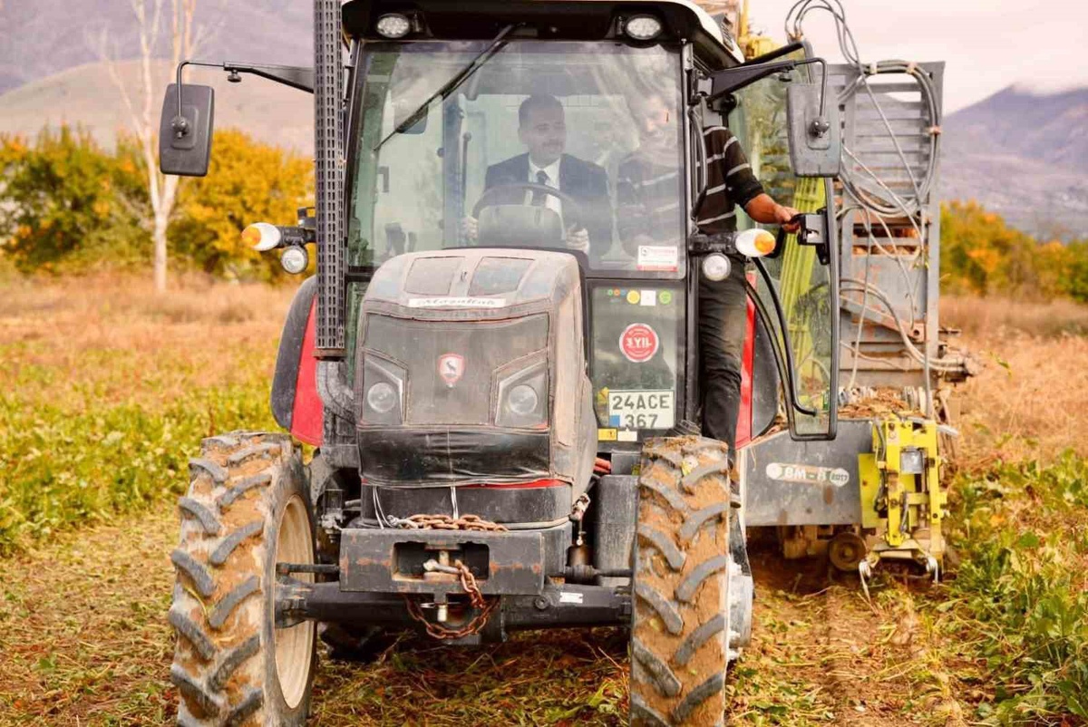 Erzincan Üzümlü'de Kaymakam Hökelekli, Altınbaşak'ta şeker pancarı hasadını inceledi