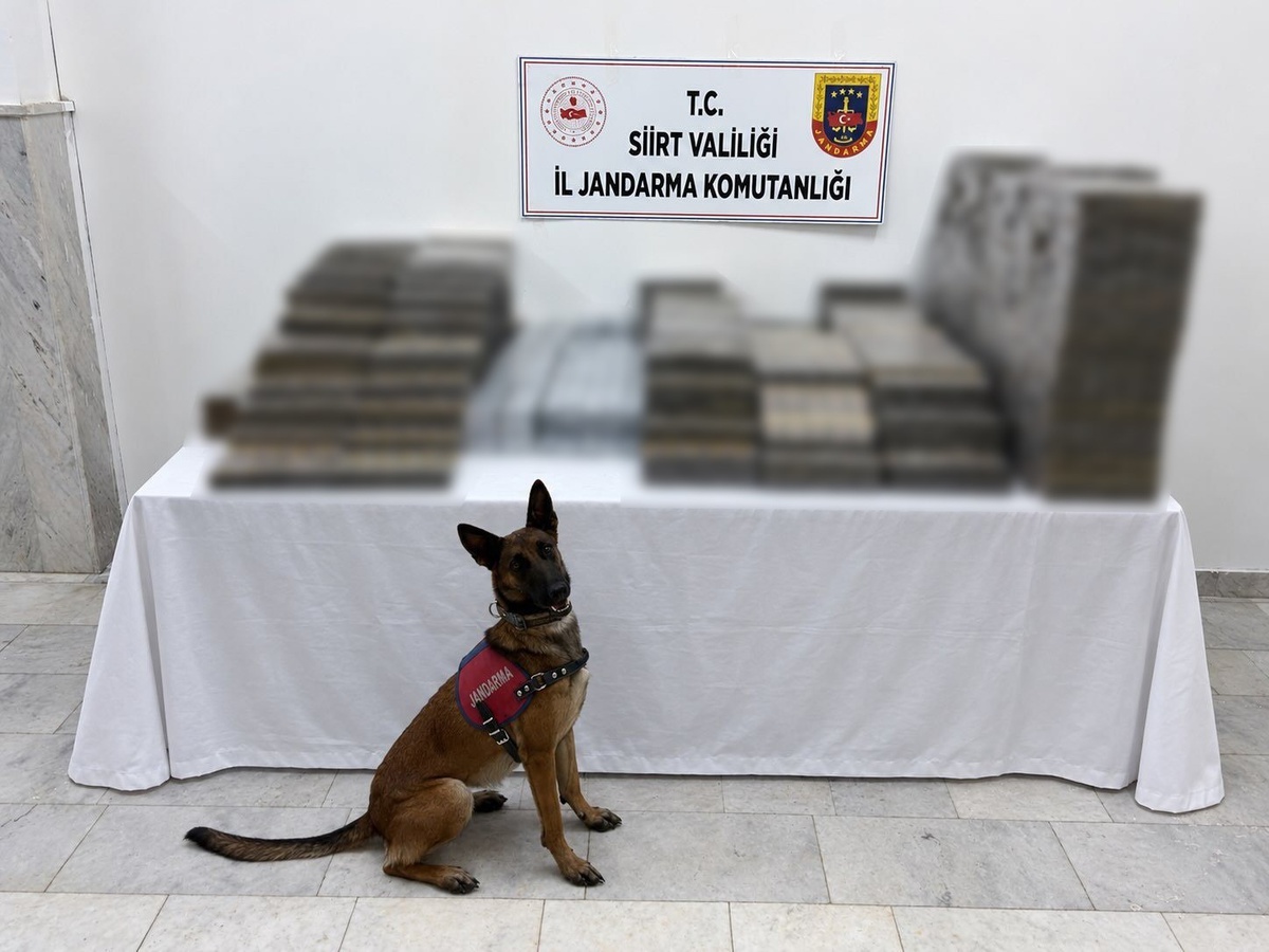 Siirt'te kömür çuvallarına gizlenmiş 10 bin 250 paket kaçak sigara ele geçirildi