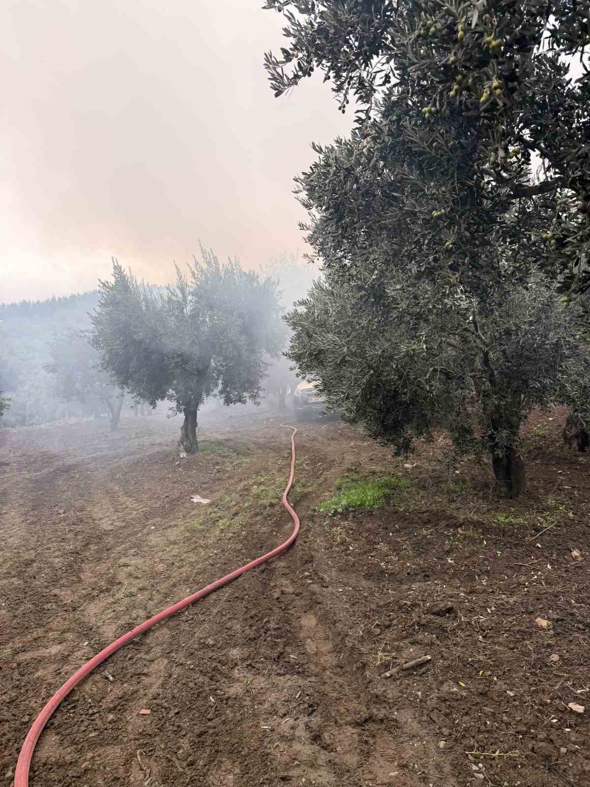 Balıkesir Erdek'te zeytinlikteki tek katlı evde çıkan yangına itfaiye müdahale etti