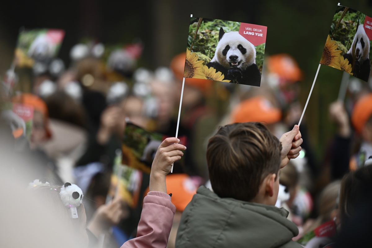 Çin'e gönderilecek yavru panda Lang Yue'yi taşıyan araç hayvanat bahçesinden ayrıldı