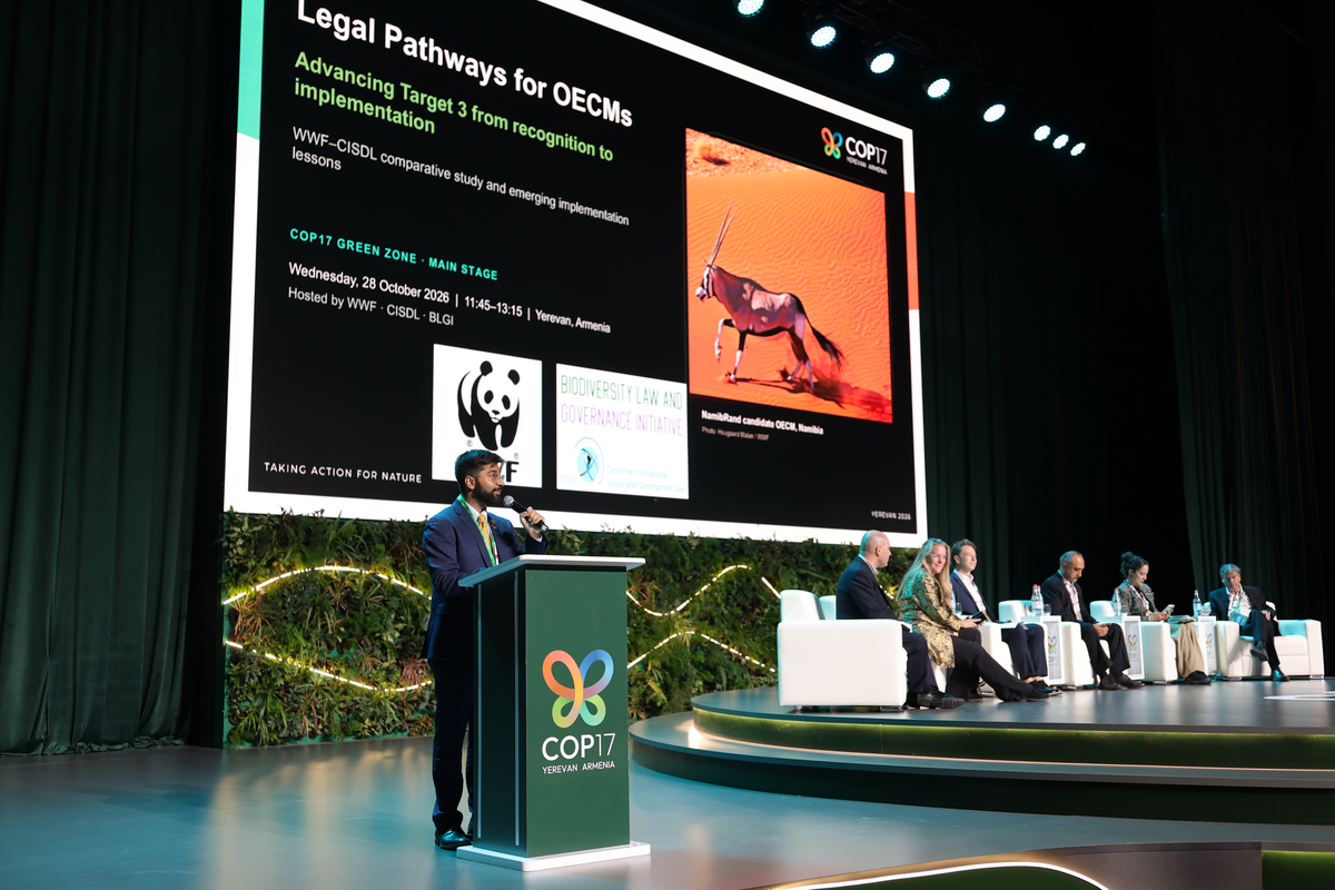 COP17 Erivan'da tamamlandı: 2030'un 23 biyoçeşitlilik hedefinde ilerleme yetersiz