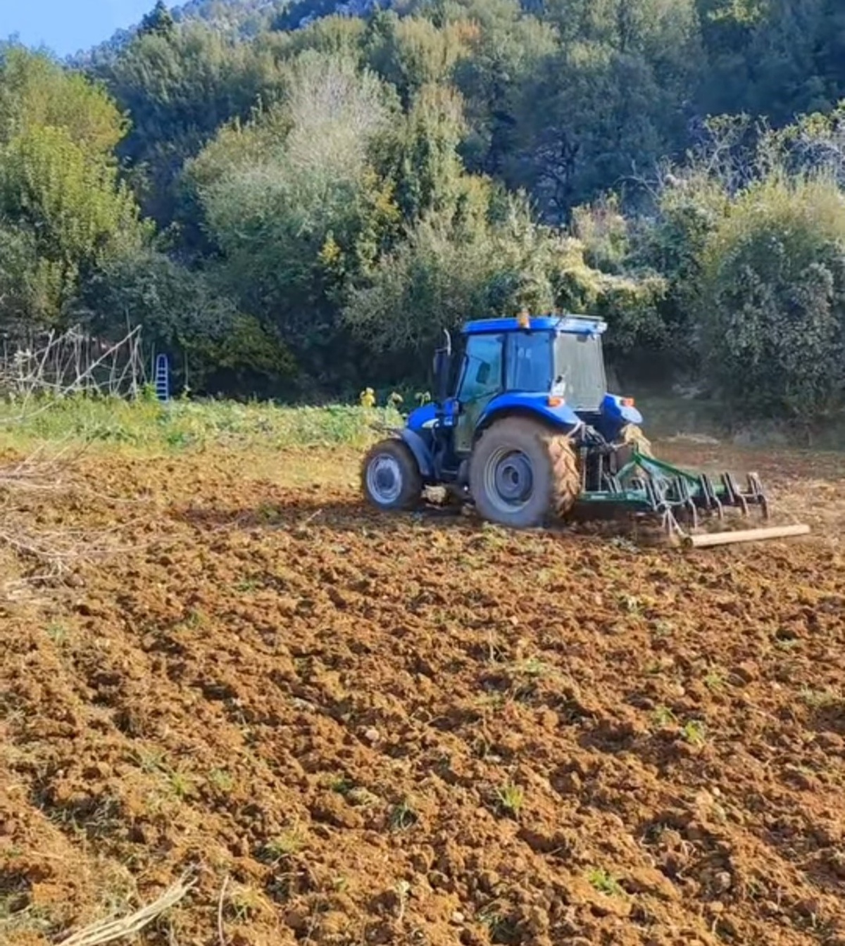 Kahramanmaraş Andırın’da yağışlar toprağa nem sağladı, çiftçiler buğday ekti