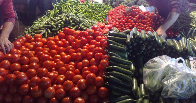 Domatesin kilosu ekimde 9-10 liraya yükselecek Domatesin kilosu ekimde 9-10 liraya yükselecek