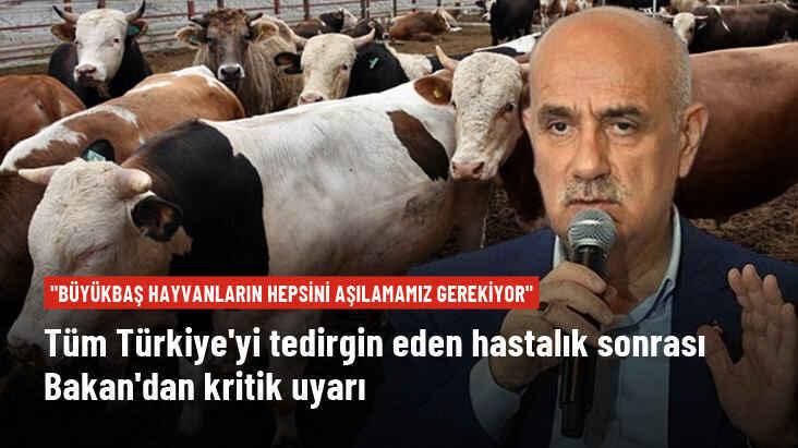Bakan Kirişçi'den Şap hastalığı uyarısı: Büyükbaş hayvanların tamamını aşılamamız gerekiyor