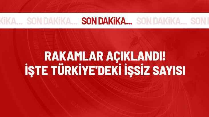 Son Dakika! Türkiye'deki işsiz sayısı 38 bin kişi azalarak 3 milyon 291 bin kişi oldu
