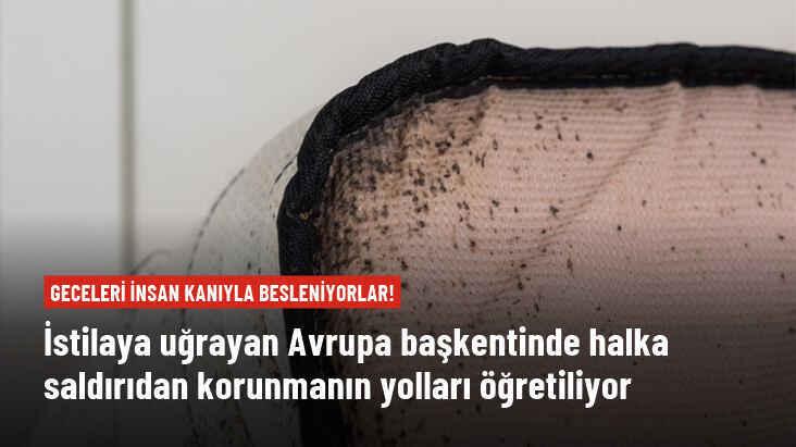 Paris'te patlak veren tahtakurusu istilasının önüne geçilemiyor! Uzmanlar saldırıdan korunmanın yollarını sıraladı