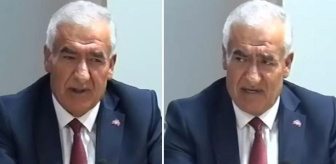 MHP'li milletvekili Kaşlı'dan emeklilere öneri: Devletten beklemek yerine domates, su satmalı