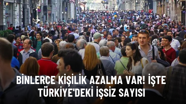 Türkiye'de işsiz sayısı şubat ayında bir önceki aya göre 109 bin kişi azalarak 3 milyon 78 bin kişi oldu