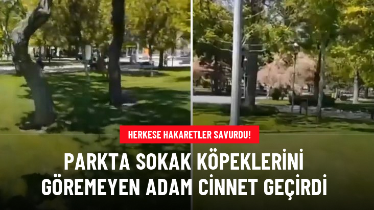 Konya'da parkta başıboş köpek göremeyen şahıs cinnet geçirdi