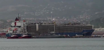 Brezilya'dan ithal edilen 27 bin angus dev gemiyle Türkiye'ye getirildi