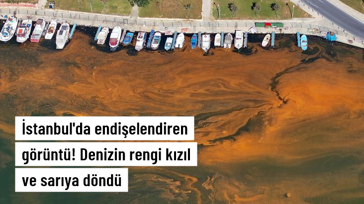 İstanbul'da korkutan görüntü! Denizin rengi sarıya büründü